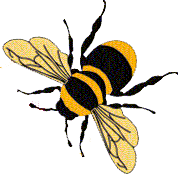 bzz bzz